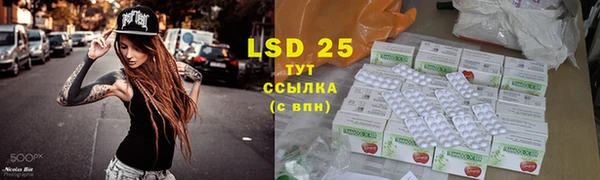 ПСИЛОЦИБИНОВЫЕ ГРИБЫ Алексеевка