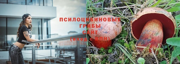таблы Алексин