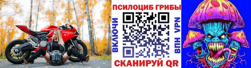 Псилоцибиновые грибы мухоморы  Пенза 